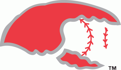 Hickory Crawdads 1993-2015 Secondary Logo iron on transfers for T-shirts